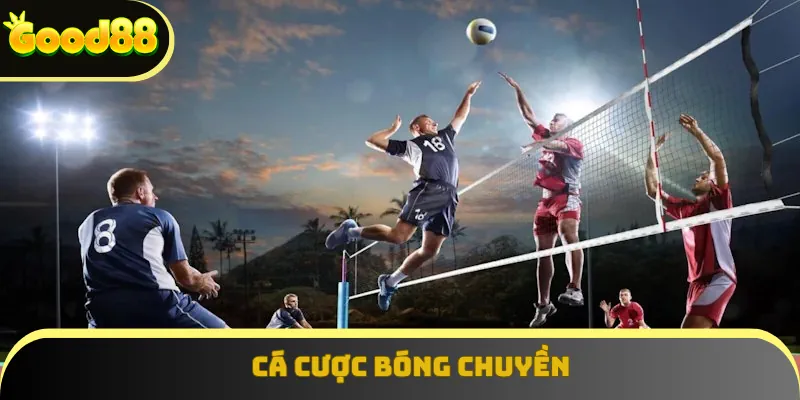 cá cược bóng chuyền