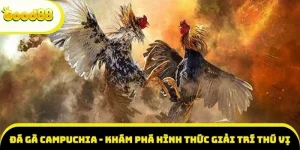 đá gà Campuchia