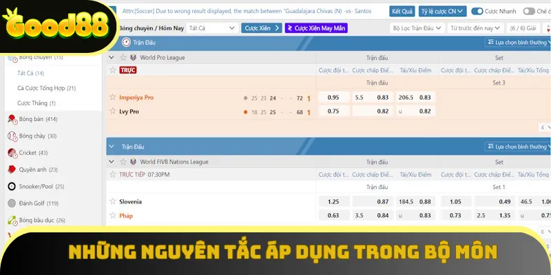 Những nguyên tắc áp dụng trong bộ môn