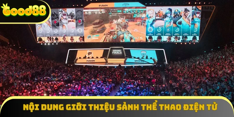 Nội dung giới thiệu sảnh thể thao điện tử